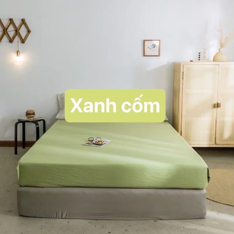 Bộ ga gối cotton tici phong cách hàn quốc nhập khẩu ( mẫu y hình)