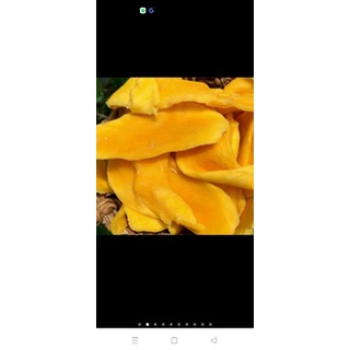 500gr xoài sấy dẻo