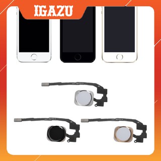 Phím home / Nút home Iphone 5S zin bóc máy (màu vàng-trắng-đen) - IGAZU
