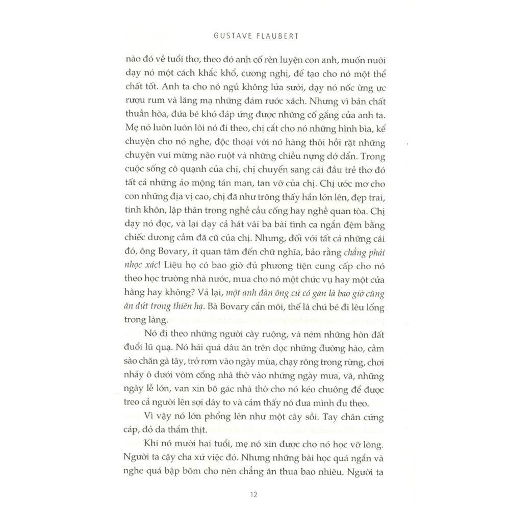 Sách - Bà Bovary (Bìa Cứng)