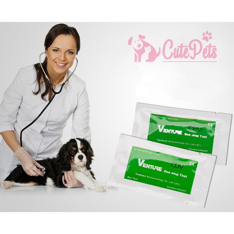 Que test Care CDV, Pravo CPV dành cho chó - Test bệnh care, Pavo - CutePets Phụ kiện chó mèo Pet shop Hà Nội