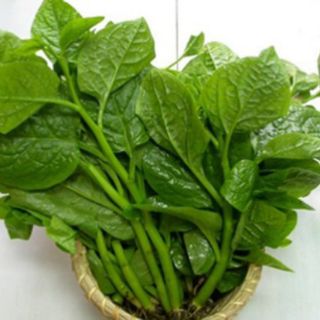 Hạt giống Mồng Tơi Xanh