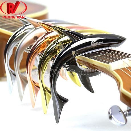 Shark Capo cá mập GC30