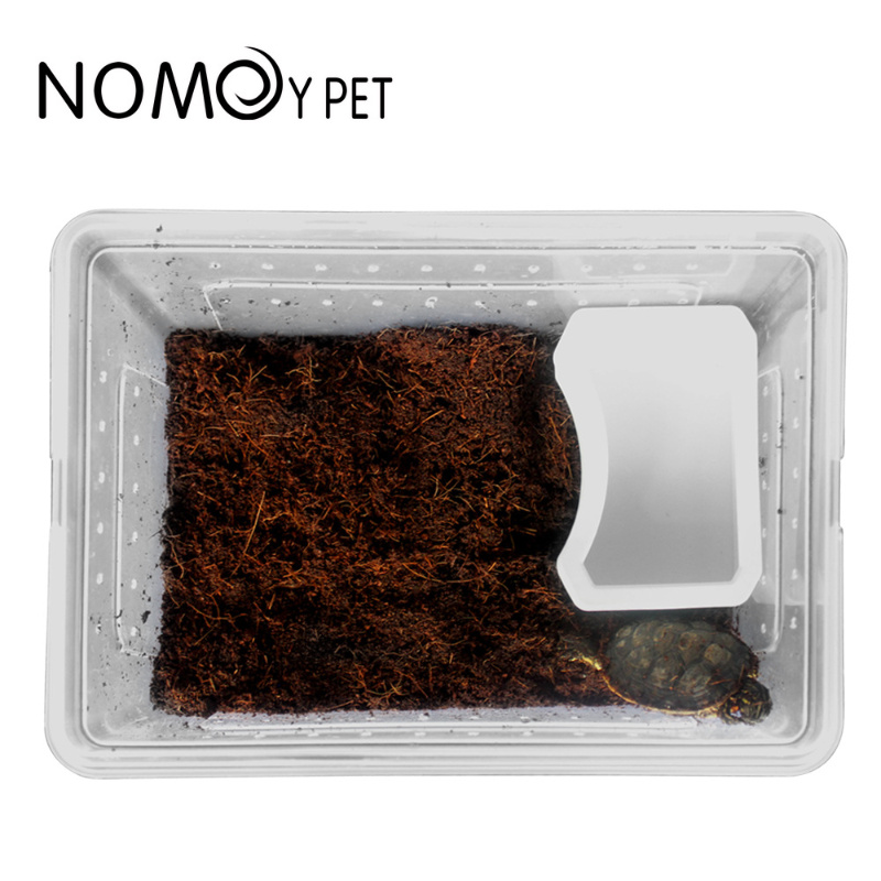 Bát ăn cho bò sát thú cưng - Bát đựng nước uống cho bò sát thú cưng