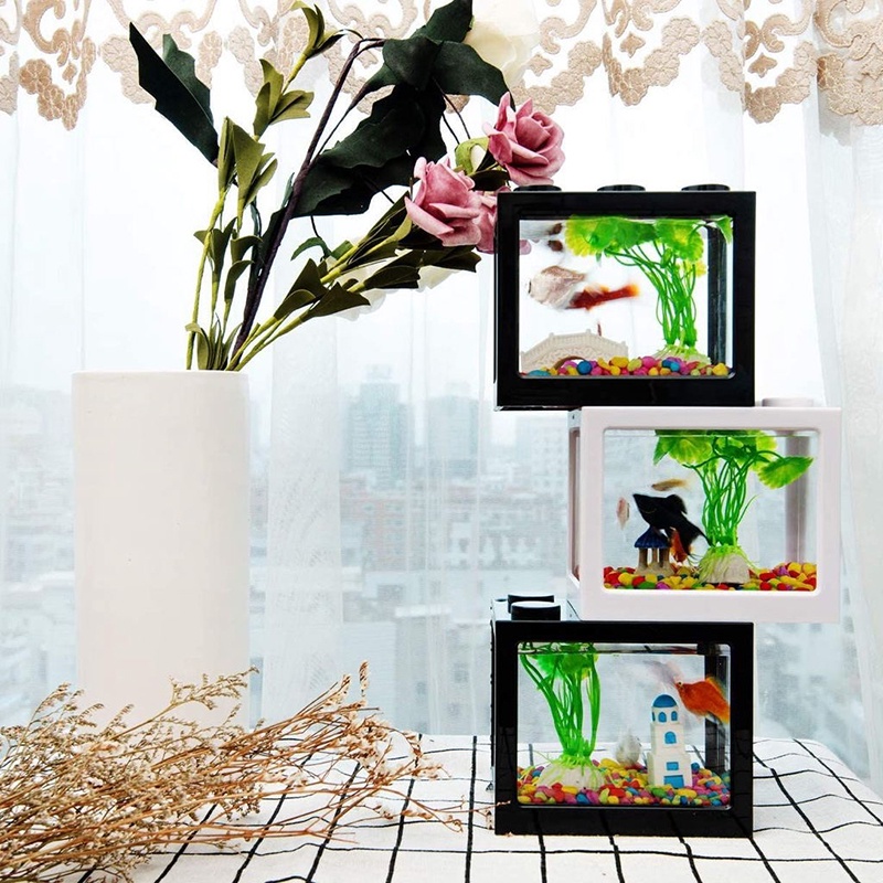 Bể cá cảnh mini hình khối lắp ráp bằng nhựa