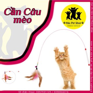 Cần Câu Mèo có chuông và lông vũ vui nhộn.