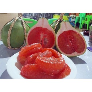 Cây 🌲 Bưởi Rupy ruột đỏ đậm