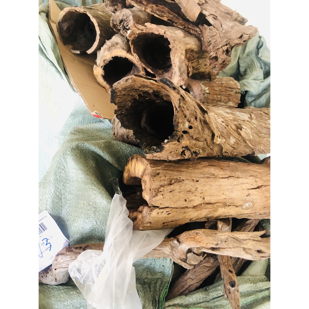 LŨA SĂN ĐÁ ỐNG RỖNG