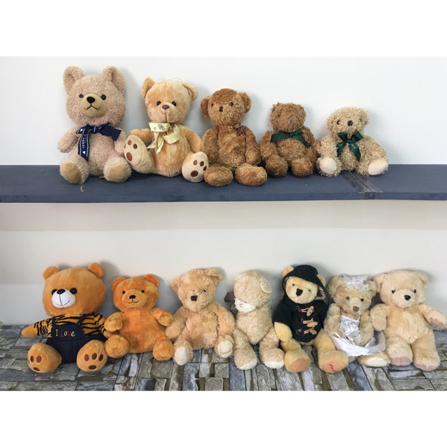 Set gấu bông teddy nâu tuyển 12 con( có video )