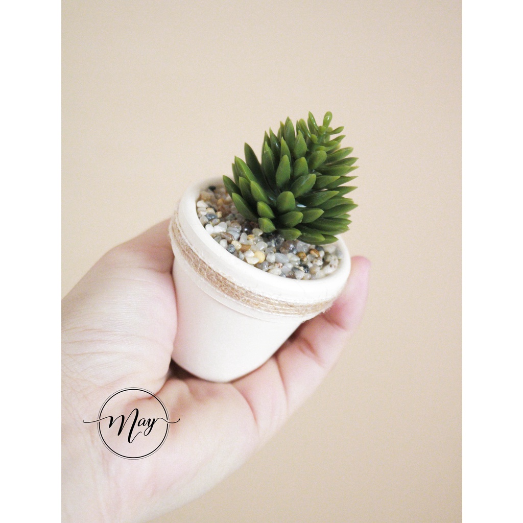 Cây giả - Chậu cây mini size 5cm - trang trí, chụp ảnh, quà tặng ý nghĩa
