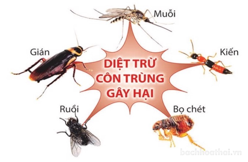 Xịt chốnǥ muỗi ţiger Balm Mosquito Repellent Aerosol Thái Lan