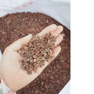 10kg Vỏ thông đỏ Quảng Bình ( #vattu, #caycanh,#bau)