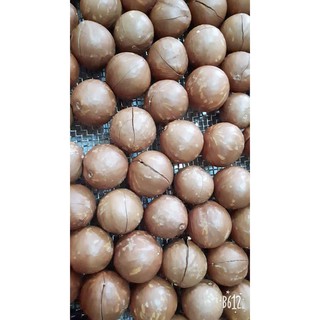 HẠT MẮC CA chất lượng Việt - 1000gr