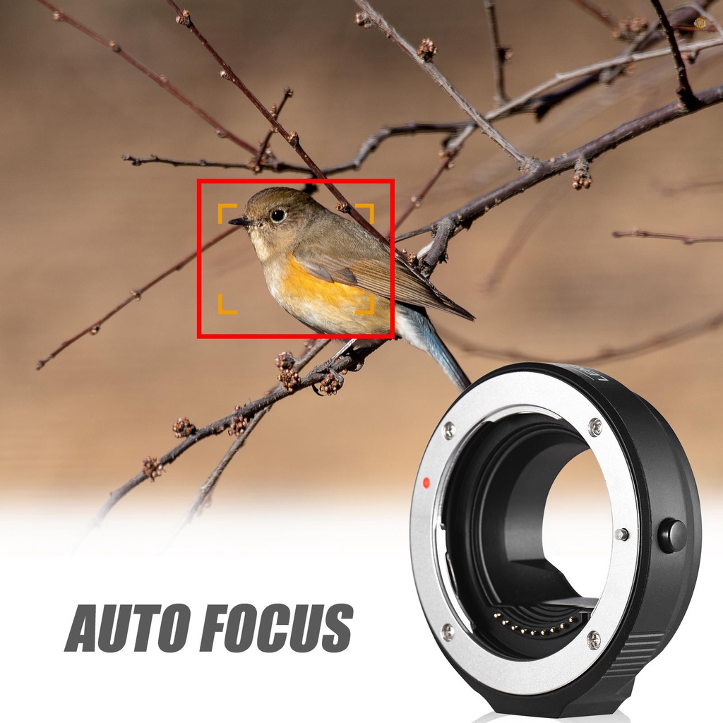 Ngàm Chuyển Đổi Ống Kính Máy Ảnh Vòng Lấy Nét Tự Động FOTGA OEM4 / 3  4 / 3 Sang M4 / 3 Cho Olympus 4 / 3 Ngàm Olympus M4 / 3 Olympus E-P1 E-P2 E-PL1 E-L1 E-L1 E-Pl2 Pana
