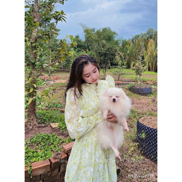 Đầm xoè dài tay cổ tàu hoa xanh hình sàn thật