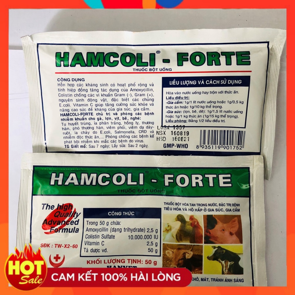 HAMCOLI - FORTE - đặc trị gà đá bị tiêu hóa và hô hấp (1 gói / 50 gram)