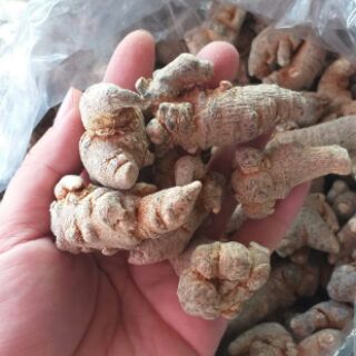 [FREESHIP 99K TOÀN QUỐC]Củ Tam Thất