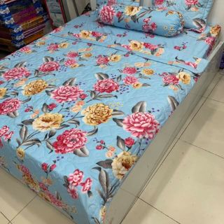 Trọn bộ 5 món cotton poly