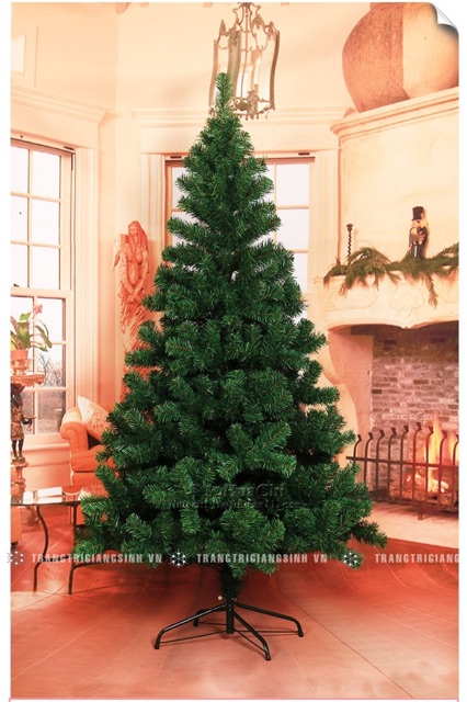 Cây thông noel 1,8m tặng sao đỉnh kim tuyen & dây kim tuyến