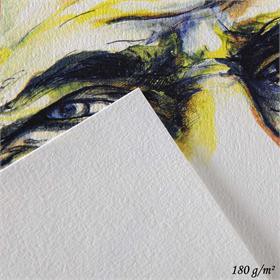 Giấy canson Pháp định lượng 180gms Chính Hãng