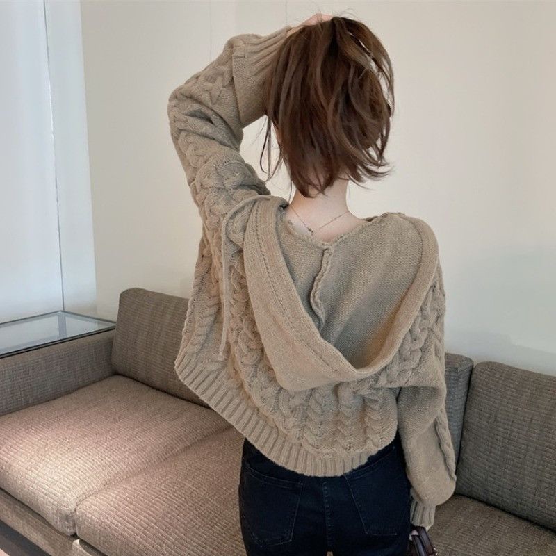 Áo Sweater Có Mũ Trùm Thiết Kế Mới Thời Trang Dành Cho Mùa Thu Đông