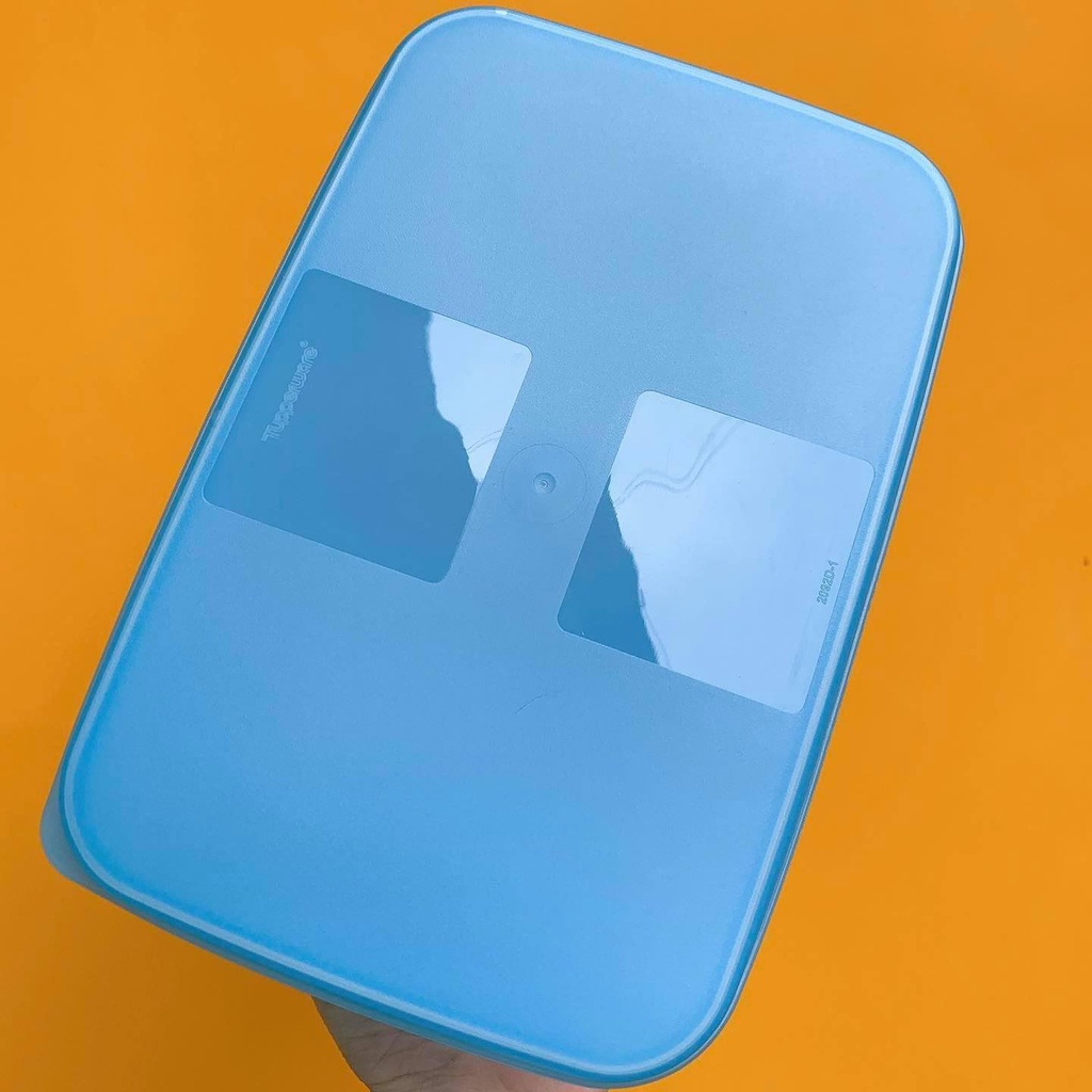 Set Hộp Tupper Ngăn Đông Siêu Tiện Lợi Cho Căn Bếp Gia Đình - Little Maven Official Store