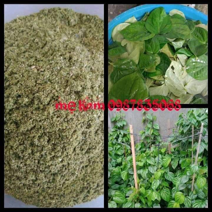 Bột lá trầu không