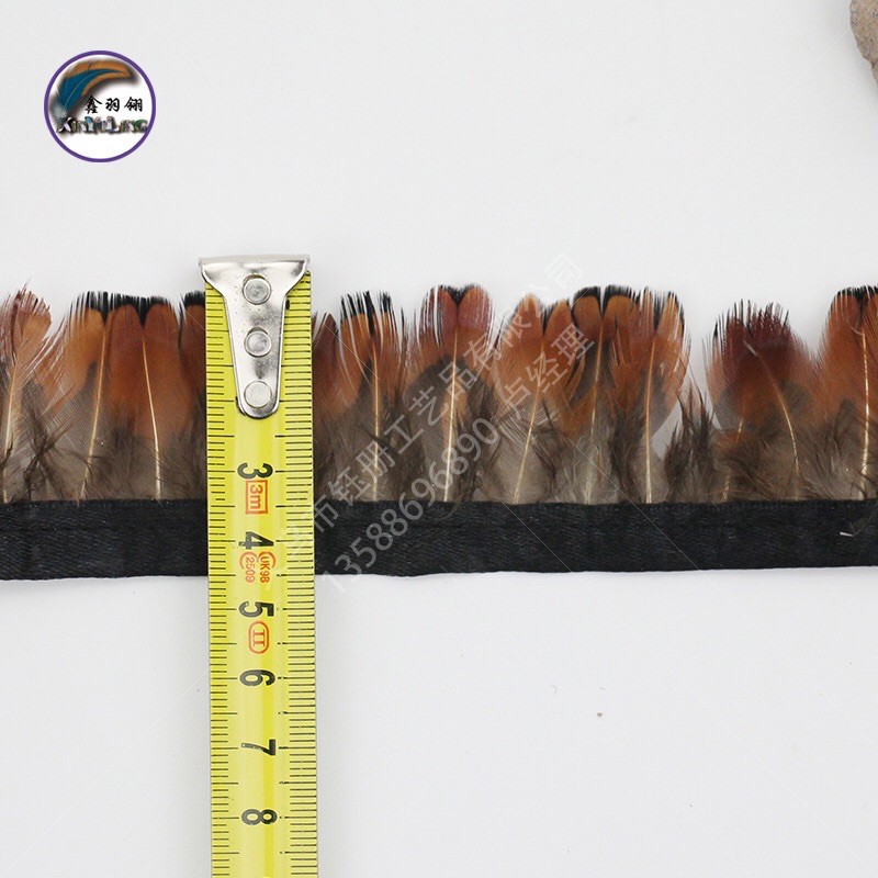 Lông chim trĩ chấm đen | BigBuy360 - bigbuy360.vn