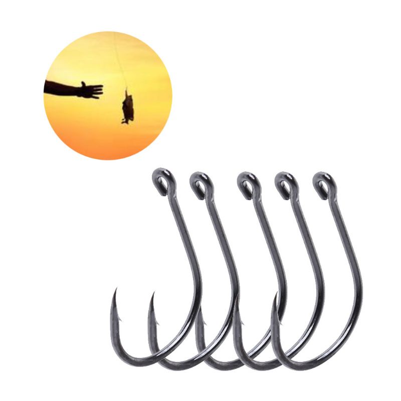 Hộp 500 Lưỡi Câu 10 Kích Cỡ Sắc Bén Nhiều Kích Cỡ Tiện Dụng