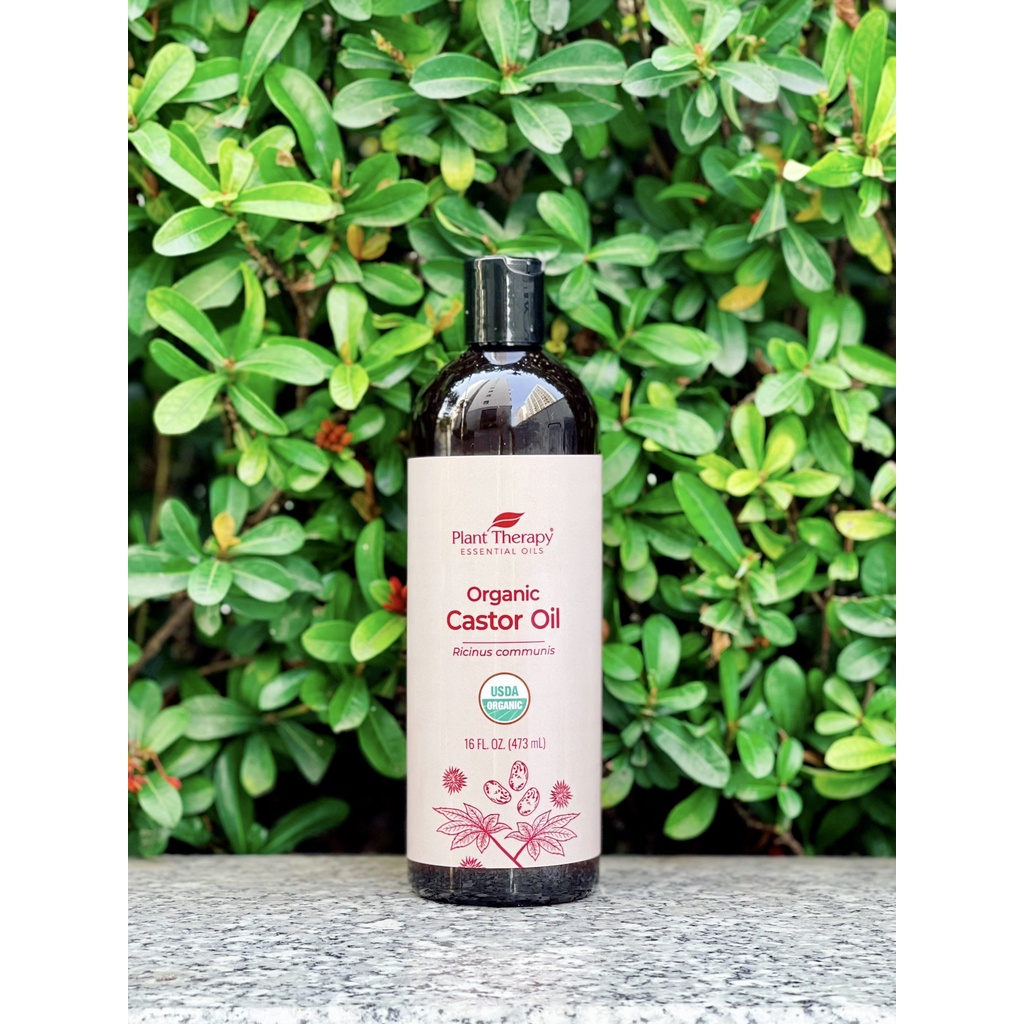 Dầu castor hữu cơ Plant Therapy