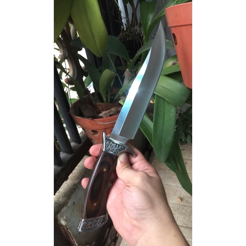 Dao phượt gọt hoa quả