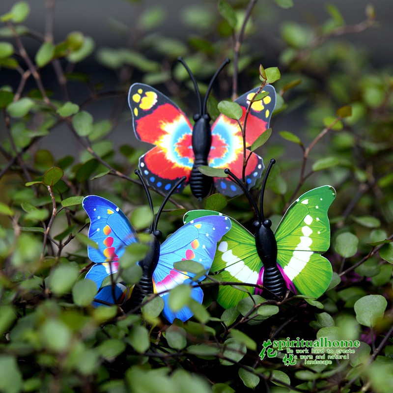 Đôi bướm màu ngẫu nhiên Minidoll