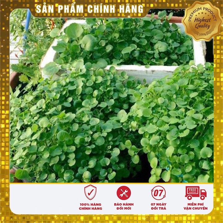 Hạt giống rau cải xoong ngọt -0.2 gr