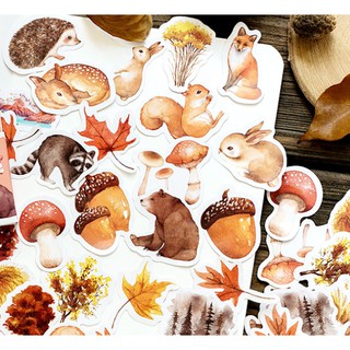 (MẪU MỚI THÁNG 4) HỘP STICKER 45-52 MIẾNG hình mèo, hoa, động vật, tranh phong cảnh trang trí Bujo / Planner / Scrapbook