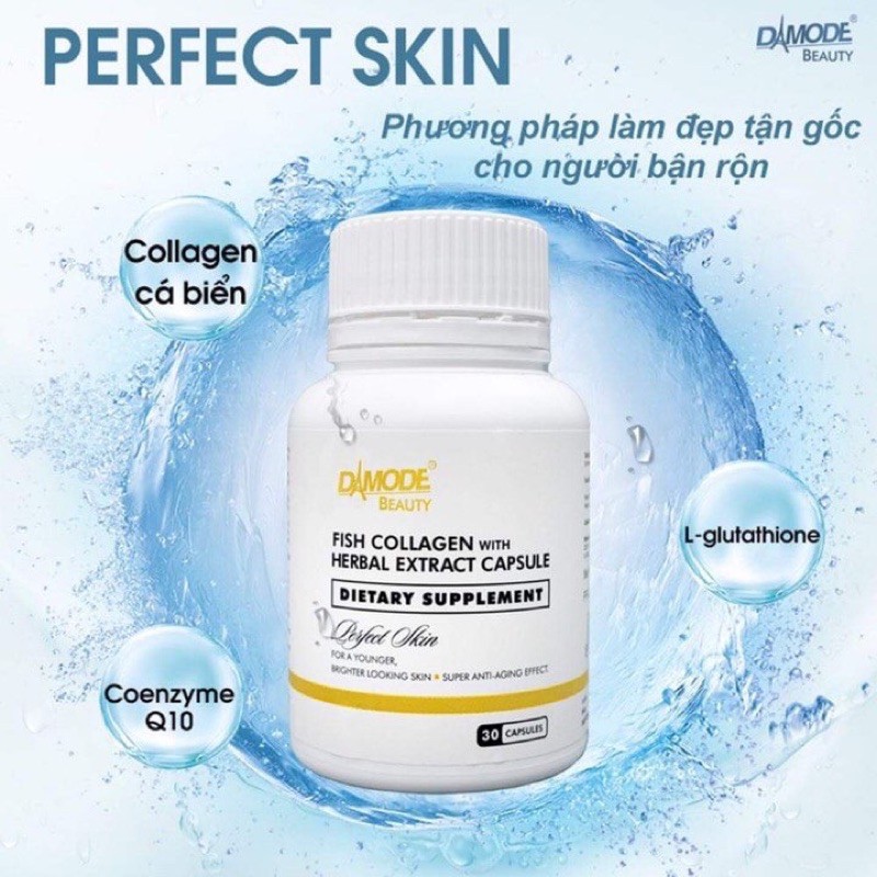 Perfect Skin Fish Collagen With Herbal Extracts Capsule Viên Trắng Da Collagen, Chống lão hoá Damode [ Hàng Thật ] | BigBuy360 - bigbuy360.vn