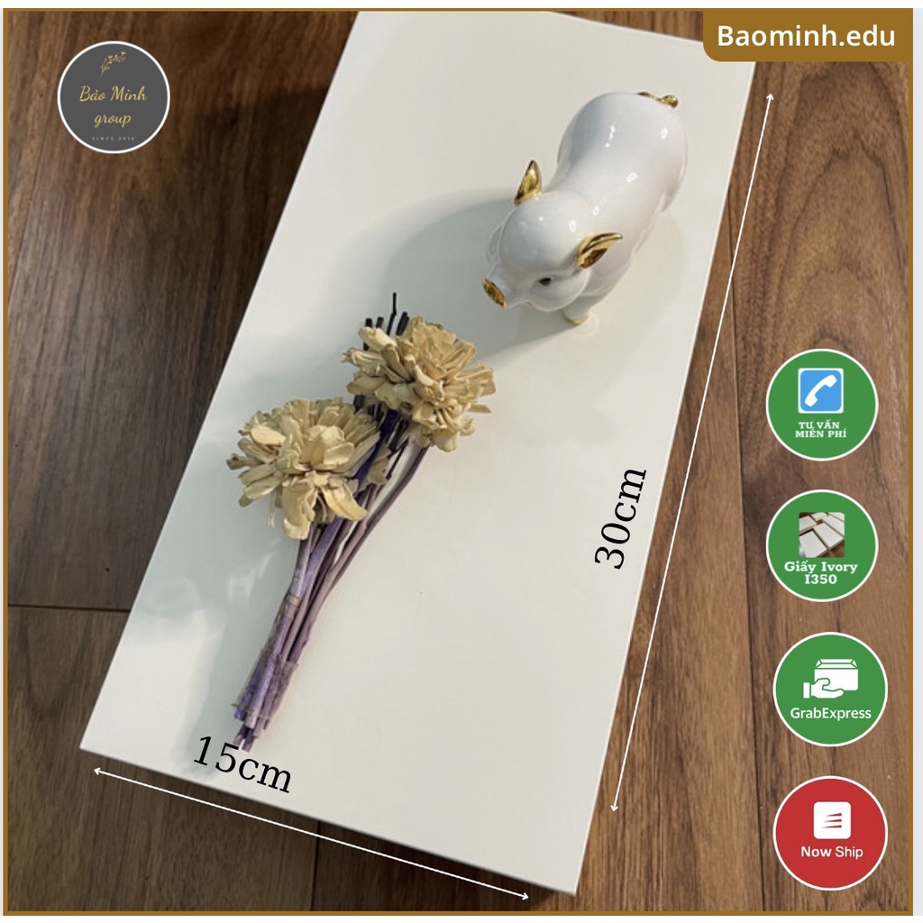 Flashcard  - 100 Thẻ trắng 15x30cm chuẩn giấy Ivory 350