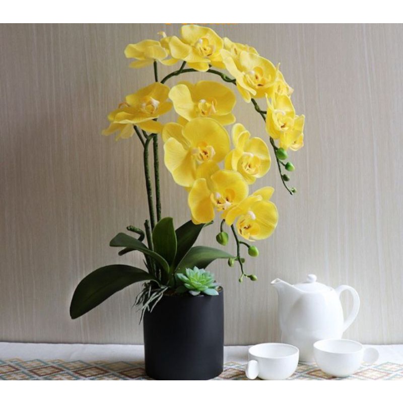 Hoa Giả Decor Hoa Giả Trang Trí Lan Hồ Điệp Cành 9 Bông To Hàng Nhập