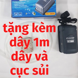 Máy oxy.Máy sục sủi thổi khí oxy 1 vòi cho hồ cá (Tặng Kèm 1M Dây+1Quả Sủi Oxy)