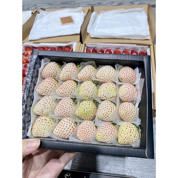 Dâu Bạch Tuyết Size 20 trái Thơm Siêu Ngọt