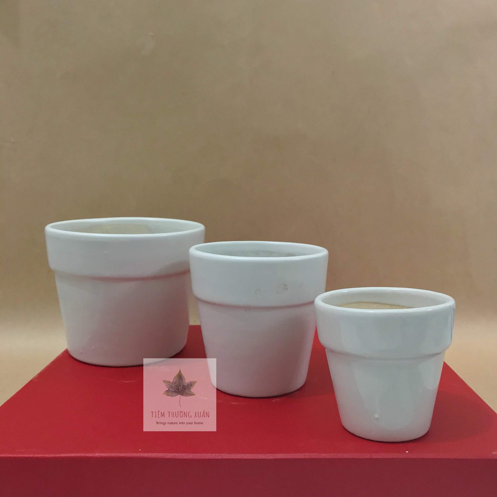 COMBO 3 CHẬU SỨ ĐỦ MÀU TRÁNG MEN - CHẬU ĐẠI - CHẬU TRUNG - CHẬU MINI