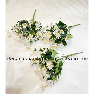 Hoa cúc hoạ mi giả hằng decor