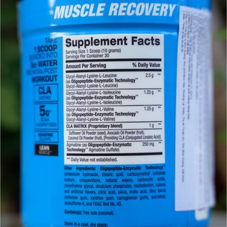 Thực Phẩm Bổ Sung BPI Best BCAA 30 Lần Dùng