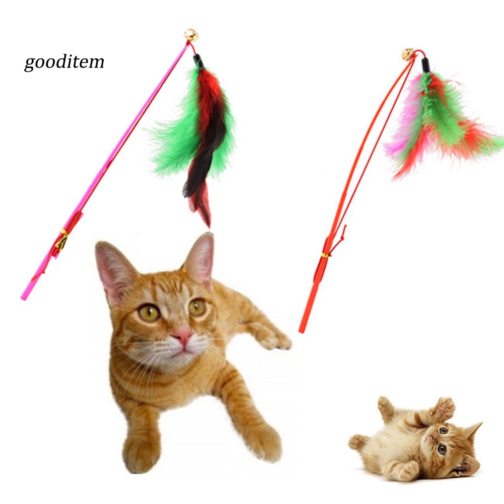 Đồ Chơi Gậy Trêu Ghẹo Mèo Gắn Lông Vũ Và Chuông Giúp Thu Hút Sự Chú Ý Và Tăng Tương Tác / Tình Cảm Với Mèo Cưng Của Bạn