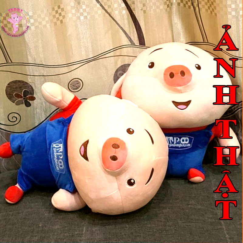 Gấu Bông Heo Tiktok Size To 60Cm Siêu Đáng Yêu Hàng Vải Bông Cao Cấp Xuất Siêu Thị