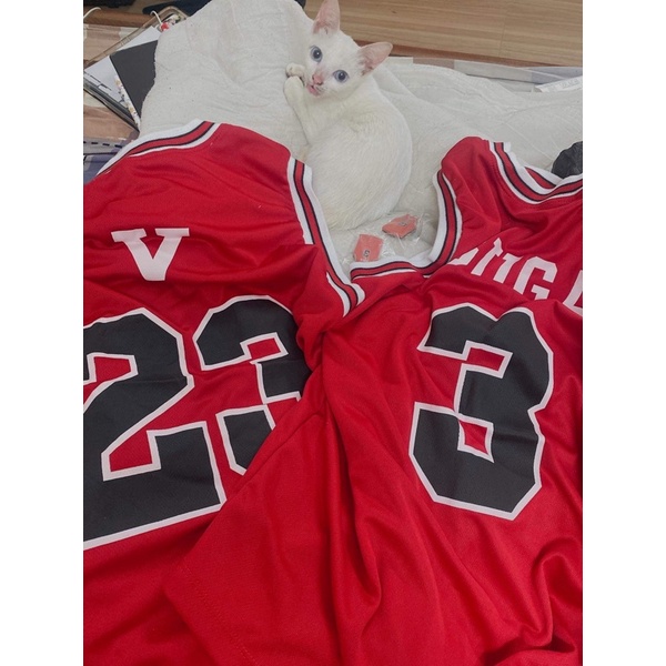 ÁO BÓNG RỔ-BASKETBALL CHEAP MOMMENT VỚI BTS-dưới 75kg - HÀNG SẴN