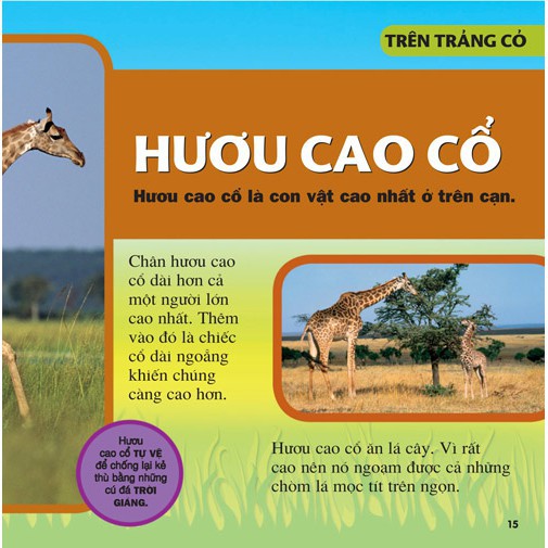 Sách - Combo 7 Cuốn - Cuốn Sách Lớn Đầu Tiên Của Tớ