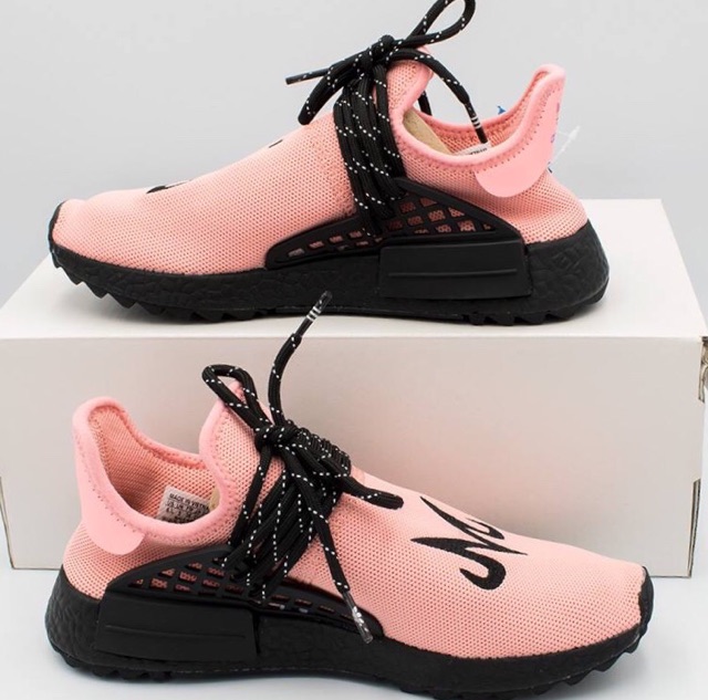 human race x dragon ball