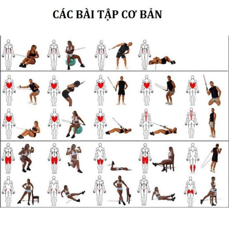 Bộ Dây Đàn Hồi Tập Thể Hình - Dụng Cụ Tập GYM Dây Ngũ Sắc Cao Cấp