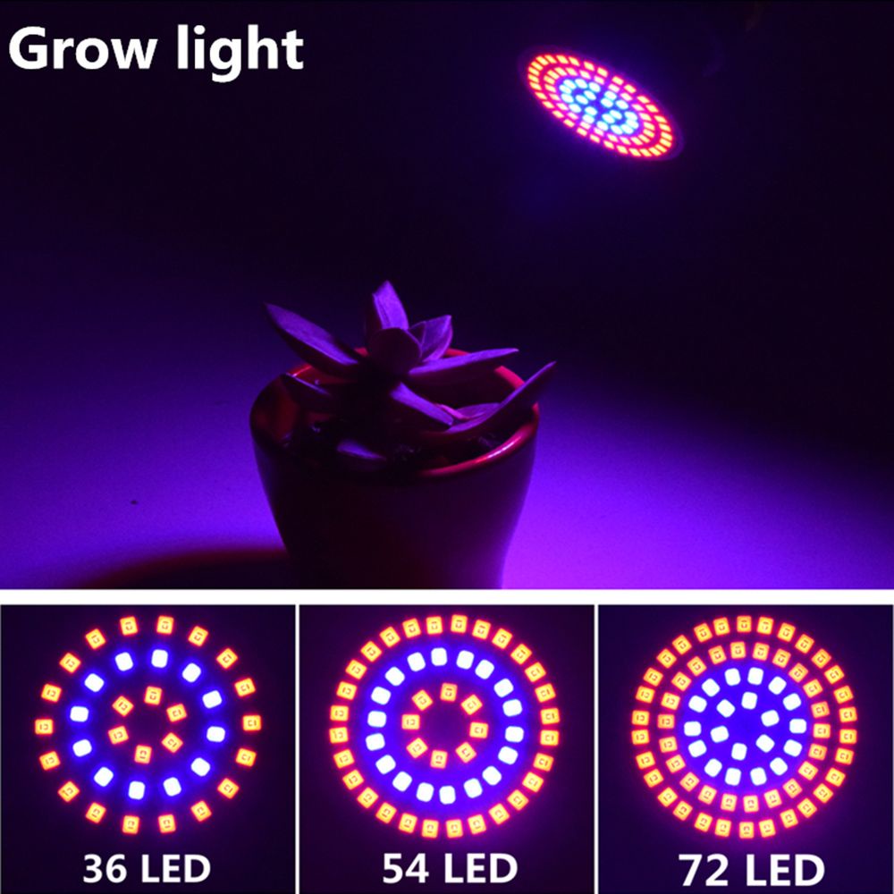 Đèn led trồng cây thủy sinh E27/ GU10/ MR16 72 bóng