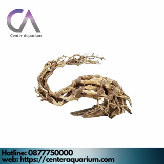 Layout Bonsai Trang Trí Bể Cá Cảnh Bể Cá Thủy Sinh